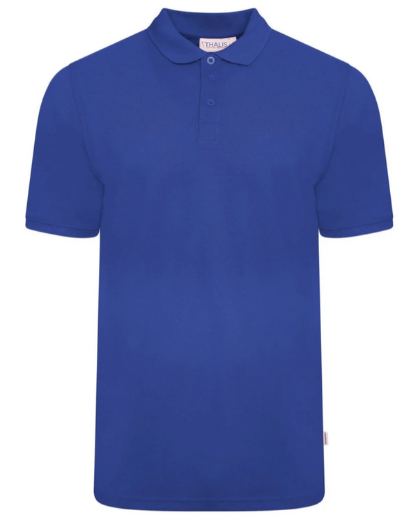 Camisa Polo Tradicional