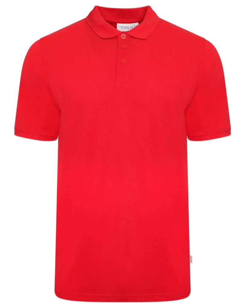 Camisa Polo Tradicional