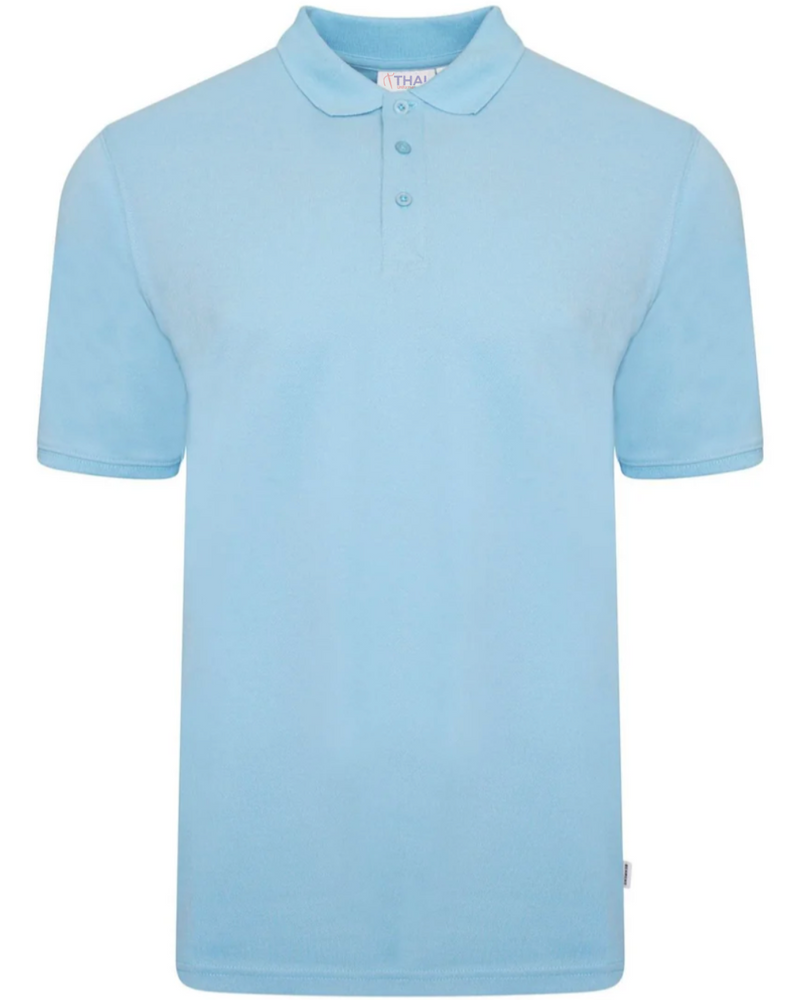 Camisa Polo Tradicional