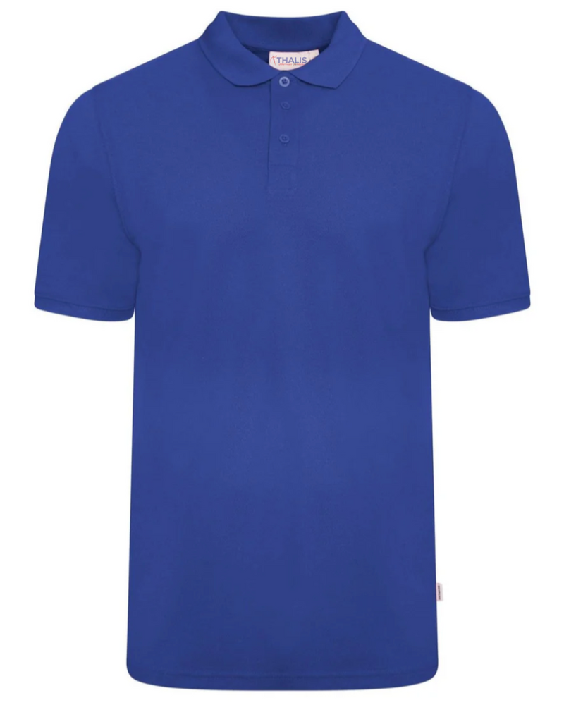 Camisa Polo Tradicional